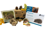 'Adopt a Hedgehog' Gift Box