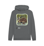 Slate Grey 'Arty Hedgehog' Hoodie