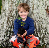 The Plant a Tree Kit