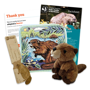 'Adopt a Beaver' Gift Box