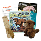 'Adopt a Beaver' Gift Box