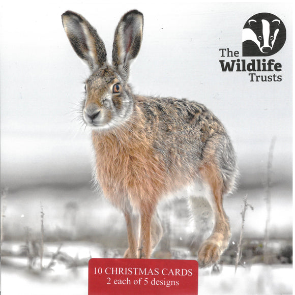 Wildlife Trust Mixed Christmas Cards (Small)