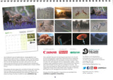 Wildlife Trust BCN 2024 Calendar