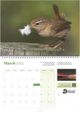 Wildlife Trust BCN 2025 Calendar