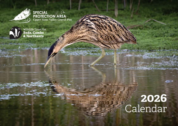 'Beautiful Birds of the Nene Valley' 2026 Calendar