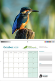 'Beautiful Birds of the Nene Valley' 2026 Calendar
