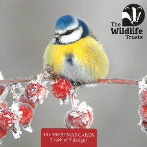 Wildlife Trust Mixed Christmas Cards (Small)