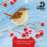 Wildlife Trust Mixed Artwork Christmas Cards