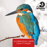 Wildlife Trust Mixed Christmas Cards (Large)