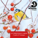 Wildlife Trust Mixed Christmas Cards (Small)
