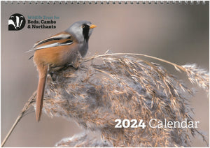 Wildlife Trust BCN 2024 Calendar