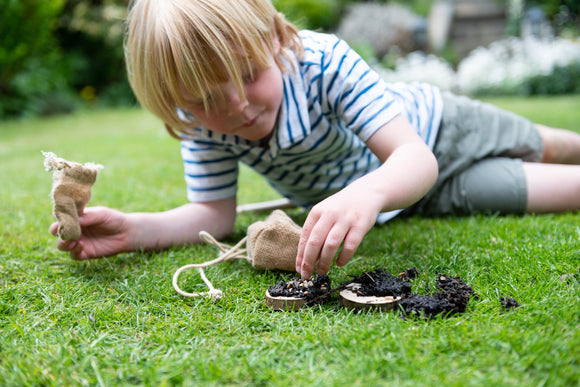 Mini 'Make a Pizza for the Birds' Kit