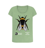 Sage Women's Scoop Neck Bee T-Shirt